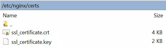 Figure 1 : Saving ssl certificates in Nginx