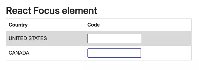 Figure 2 : React focus with autoFocus